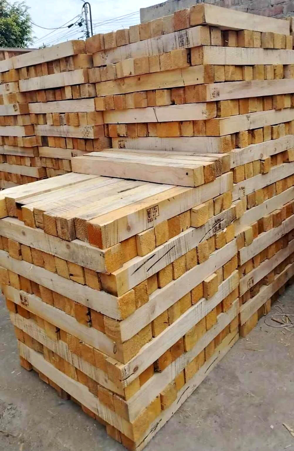 Listones de madera (tacos de madera)